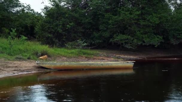 在巴西东北部巴伊亚州的一个温暖的阴天里 一艘古老的木制划船停泊在巴西河流的边缘 伴随着一股温和的水流 — 图库视频影像