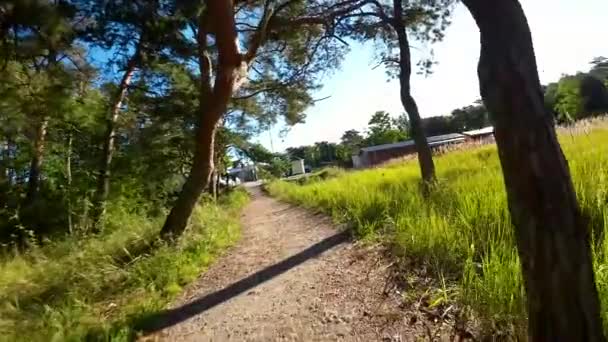 Vuelo Cámara Lenta Sobre Sendero Rural Entre Campos Verdes Árboles — Vídeos de Stock
