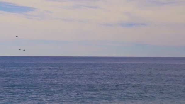 Idylliczne Seascape East Hampton Beach Long Island Nowy Jork Stany — Wideo stockowe