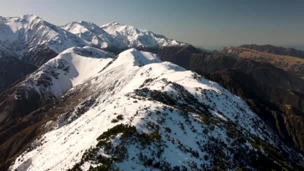 Monte Fyffe Cordilheira Dos Alpes Sul Cobertos Neve Revelação Aérea — Vídeo de Stock