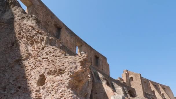 Kilátás Colosseum Rómában Olaszországban Üres Kolosszeum Boltívek — Stock videók