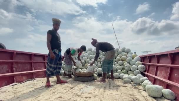 Tiro Trabajadores Descargando Pilas Calabaza Ceniza Barco Supermercado Día Soleado — Vídeo de stock