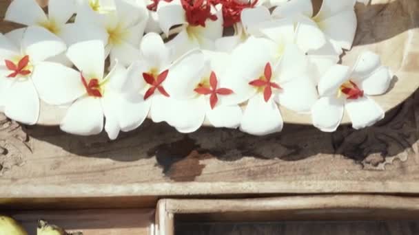 Egzotyczny Owoc Drewniany Yta Bia Ymi Purpurowymi Kwiatami Bananami Arbuzem — Wideo stockowe