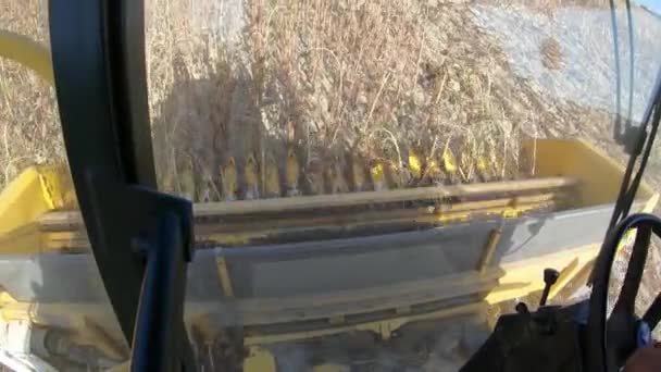 収穫機の脱穀機のひまわりと船内の眺めを — ストック動画