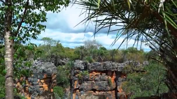 Tilting Shot Looking Out Hole Ground Created Lapa Doce Cave — Stock Video