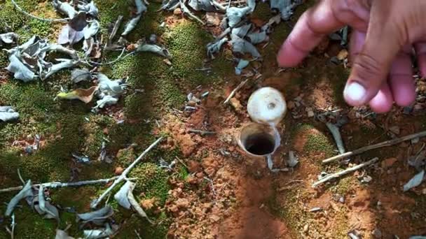 ブラジル北東部バイーアのチャパダディマンティナ国立公園のラパドス洞窟への歩道上に位置毒トラップドアクモの家の蓋を閉じる指のスローモーションショット — ストック動画