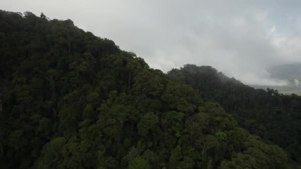 Dağ Eteklerindeki Sık Orman Ağaçlarının Üzerinde Uçuşu — Stok video