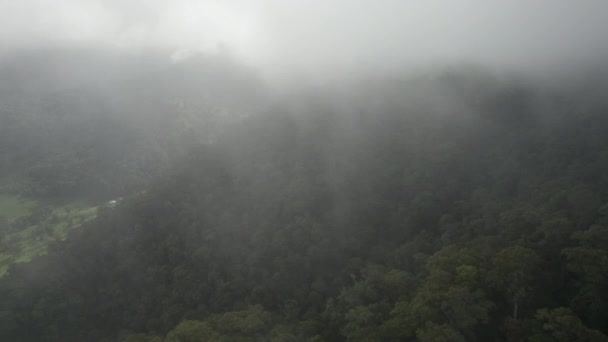 Sisli Tropikal Yağmur Ormanı Ağaçlarının Üzerinden Uçmak Kosta Rika Nın — Stok video