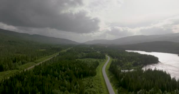 주변에 Lush Vegetation Cloudy Sky Norway — 비디오