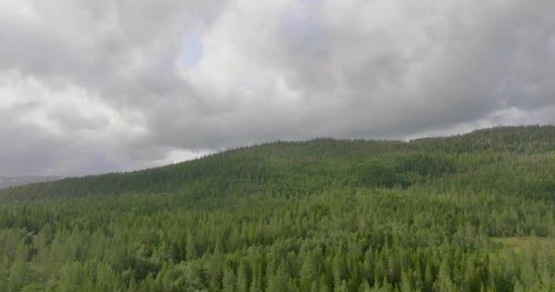 Montanhas Florestadas Com Árvores Abeto Perto Namsskogan Norte Noruega Drone — Vídeo de Stock