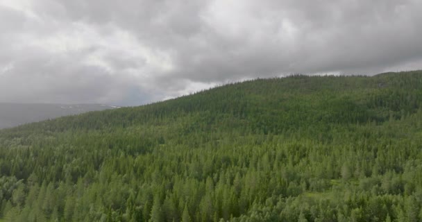 Dramatiskt Skogslandskap Med Gran Namsskogan Trondelag Norge Drönarantennen Skjuten — Stockvideo