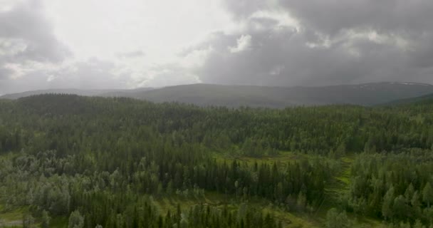 ノルウェー ナムスコガン近くの劇的な空に対する広大なスプルースの森と丘の空中ドローンビュー — ストック動画