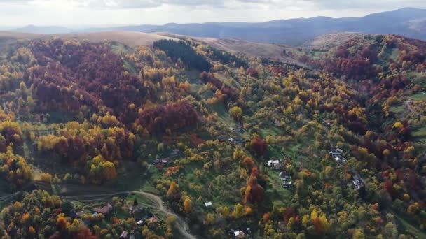 Atemberaubende Aufnahme Von Herbstlichen Hügeln Mit Natürlichen Gelben Roten Und — Stockvideo