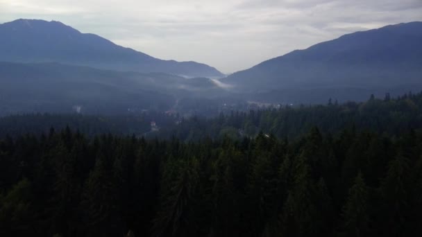 Timelapse Aerea Rivelando Colpo Bosco Selvatico Nella Contea Brasov Romania — Video Stock