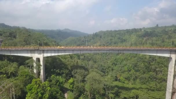 Lalu Lintas Dan Wisatawan Jembatan Tukad Bangkung Jembatan Tertinggi Bali — Stok Video