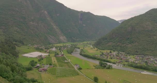 Scenic Laerdal Valley Picturesque Village Laerdalselvi River Apple Orchard Plantation — Stok Video