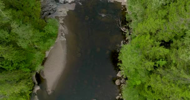 緑豊かな植生に囲まれた美しいストームフォッセン滝に向かって流れる川沿いの最下流の景色 ノルウェー — ストック動画