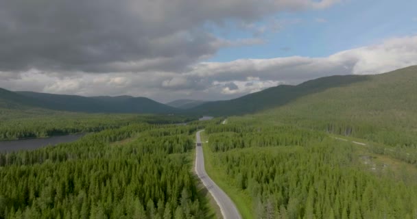 노르웨이에 야생의 숲으로 둘러싸인 무인기 — 비디오