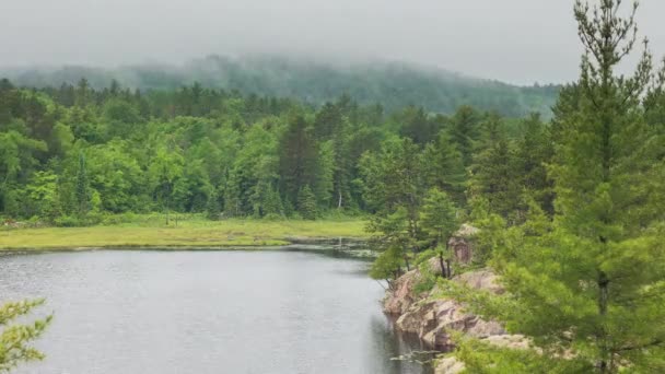 Time Lapse Fog Mist Rising Out Forests Northern Michigan Tourné — Video