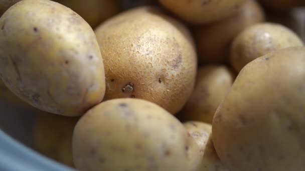 Patatas Crudas Frescas Tazón Primer Plano Shot — Vídeos de Stock
