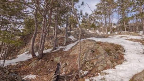 Gerak Waktu Selang Salju Mencair Hutan Michigan Utara Shot Dekat — Stok Video