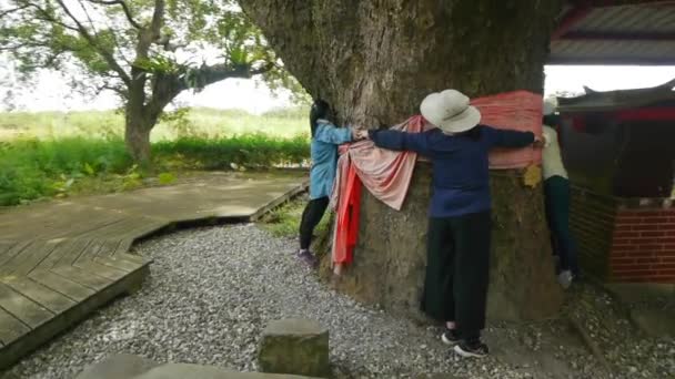 Asiatiska Kvinnor Bär Ansiktsmasker Och Kramar Ett Gigantiskt Träd Bredvid — Stockvideo