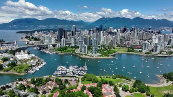 False Creek Downtown Vancouver British Columbia Canada Sunny Day Inglés — Vídeo de stock