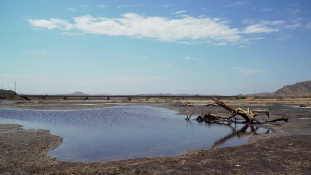 死んだ木の丸太がゾリトス トゥンベス ペルーの小さな湖の近くに落ち 車が遠くを通り過ぎる — ストック動画