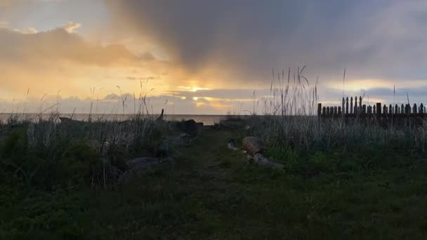 Golden Hour Olympic National Park Dungeness National Recreation Area Sequim — Stock video