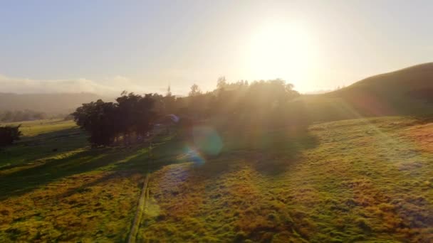 緑の山の丘や木々の上に輝く夏の間の見事な太陽 — ストック動画