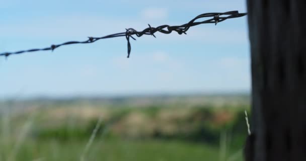 Close View Barbed Wire Fence Rural Countryside Field Farm Green — Vídeo de Stock
