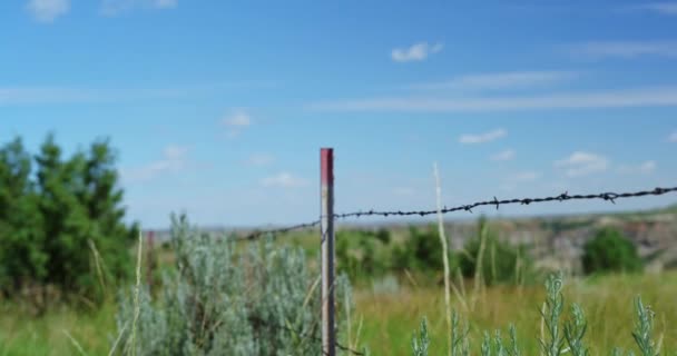 田舎の田園地帯の外の有刺鉄線フェンスの眺め 緑の芝生広大な谷の土地と曇りの青い空の丘 保護と安全のためのバリアによる保護された農地のプロパティ — ストック動画