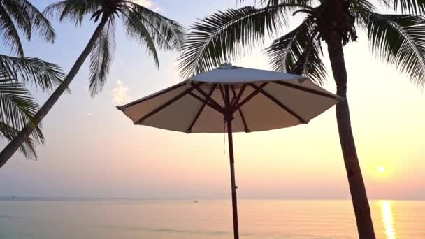 一つのビーチ傘はヤシの木の下に立っています海の波の上の夕日 — ストック動画