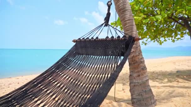 在热带微风中移动的空绳吊床的特写 — 图库视频影像