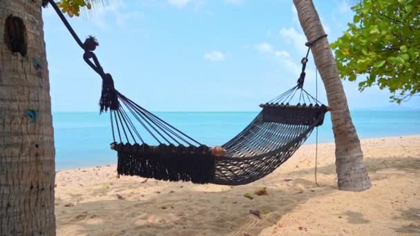 Een Lege Geweven Hangmat Hing Tussen Twee Palmbomen Zwaait Een — Stockvideo
