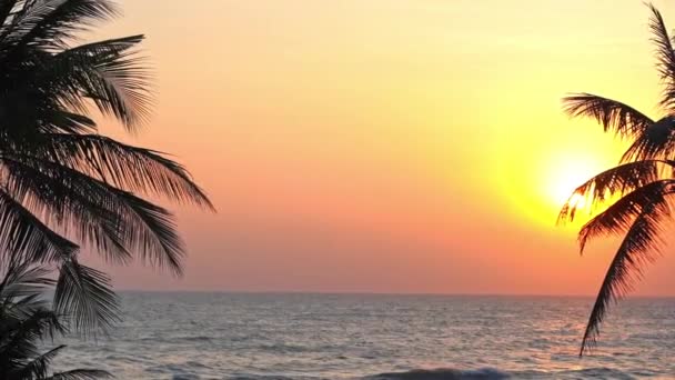 Pôr Sol Tropical Colorido Sobre Oceano Emoldurado Por Duas Árvores — Vídeo de Stock
