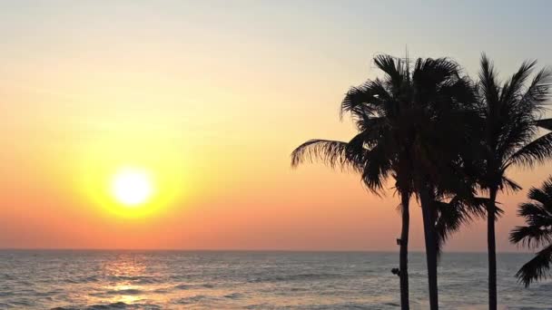 在海滩上 橙色和黄色的落日勾勒出多棵棕榈树的轮廓 — 图库视频影像
