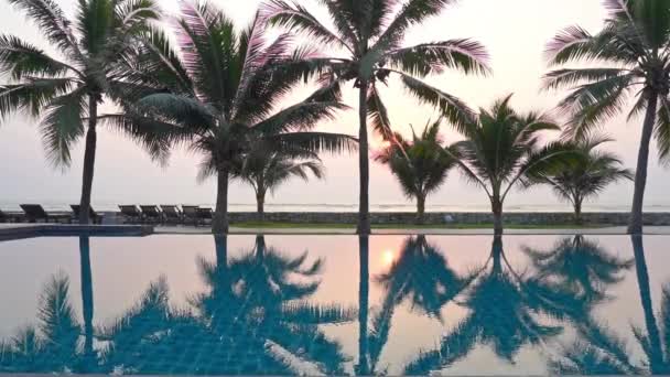 Çoklu Palmiye Ağaçları Bir Tatil Köyü Yüzme Havuzunun Durgun Suyunu — Stok video