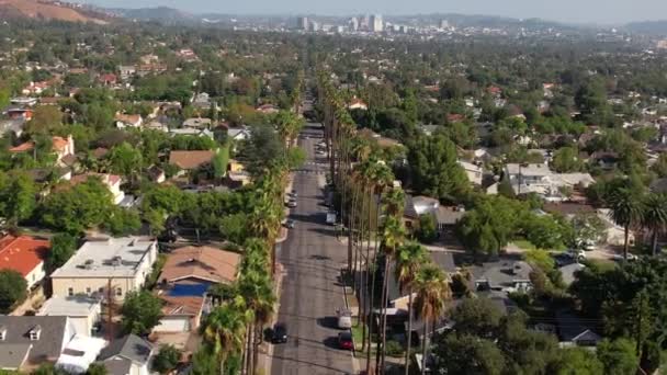 Burbank California Usa Flying Palm Trees Homes Sunny Evening Drone — Stock video