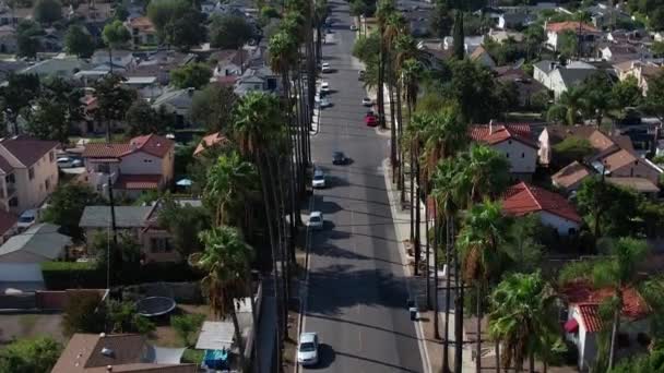 Palm Tree Lined Street Burbank Neighbourhood Cars Driving Aerial Pedestal — Stock Video