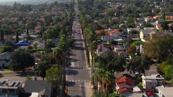 伯班克附近一排排高大的棕榈树上的房屋的空中景观 — 图库视频影像