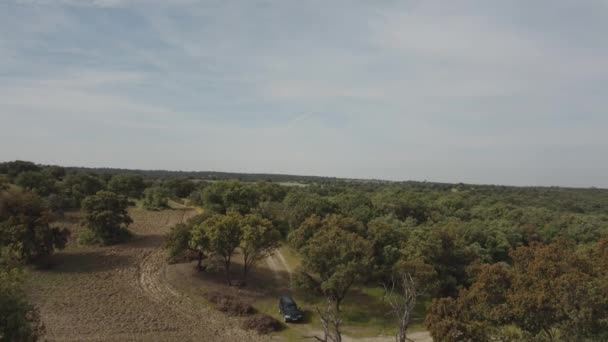 Statische Luftaufnahme Fokussiert Und Folgt Einem Geländewagen Der Zwischen Bäumen — Stockvideo