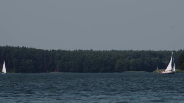 Barcos Navegando Lago Wdzydze Polônia Largo Estático — Vídeo de Stock