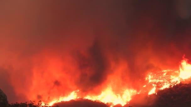 Wildvuur Woedend Vernietigen Van Een Stuk Land Red Flames Burning — Stockvideo