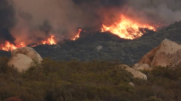 Wildfire Flames Enveloping Och Burning Forest Fairview Fire Hemet Kalifornien — Stockvideo