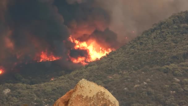 Obrovské Plameny Hustý Černý Kouř Ničivého Fairview Wildfire Požár Ničí — Stock video