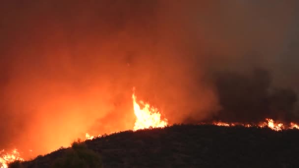 加州野火 明亮的黄色和红色的火焰燃烧着周围的一切 — 图库视频影像