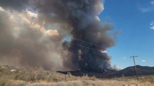 Τεράστιο Νέφος Καπνού Που Αναδύεται Από Δασικές Πυρκαγιές Έρημο Τοπίο — Αρχείο Βίντεο