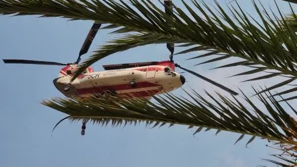Вертолет Пролетает Над Головой Борьбы Лесными Пожарами Калифорнийских Лесах — стоковое видео