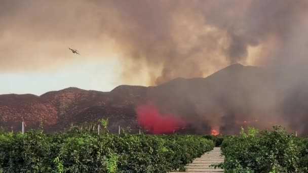 Heavy Planes Extinguishing Wildfires California View Ground — Stock Video